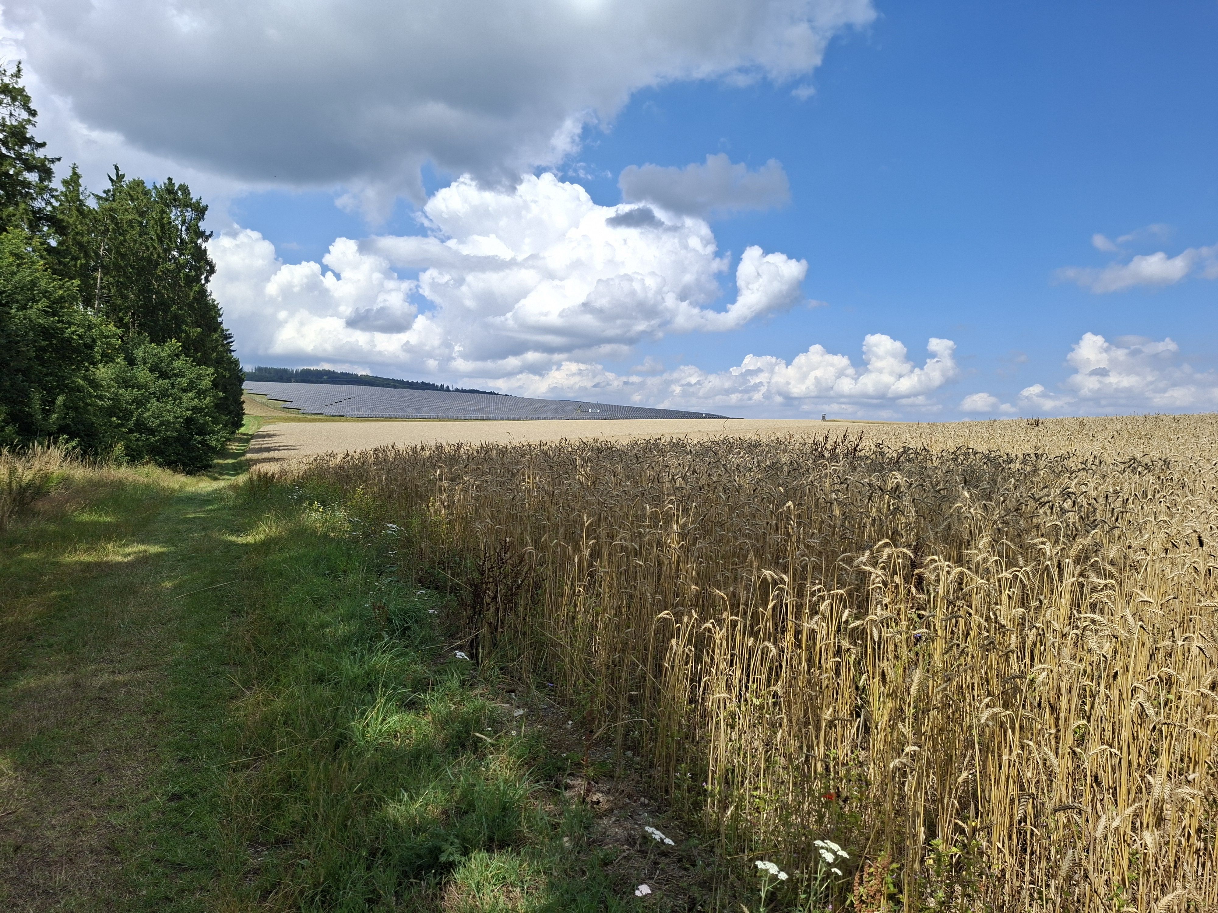 Sommer im Hunsrueck
